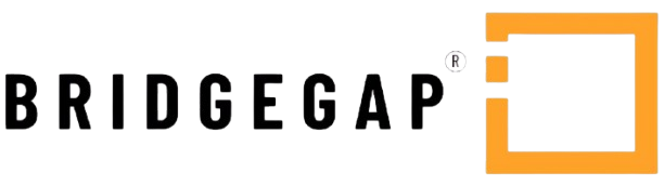 Bridgegap IT Services